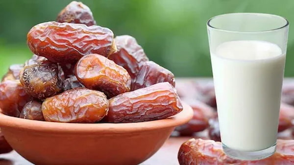 تصویر 4 از قیمت خرما مضافتی تازه + خرید باور نکردنی